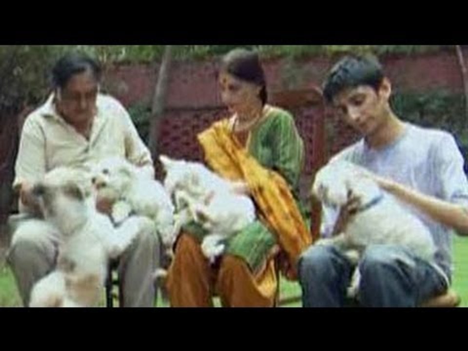 Heavy Petting with the Gupta's