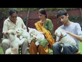 Heavy Petting with the Gupta's