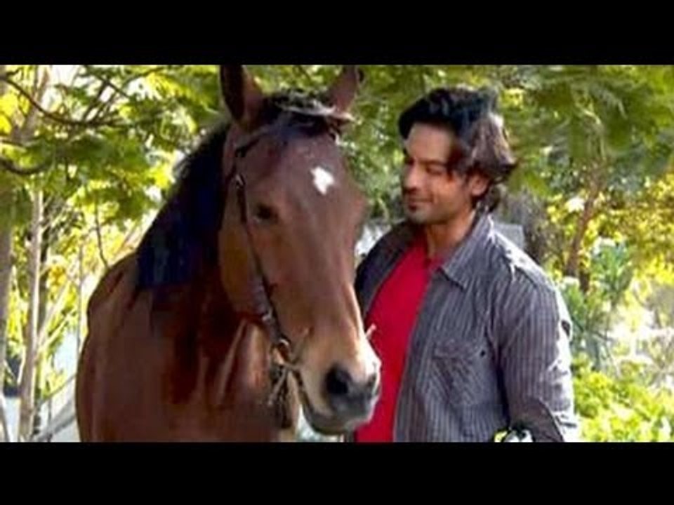 Bonding with the horses