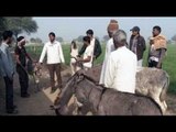 Keith meets the domesticated donkeys