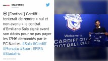 Pour le club de Cardiff, le transfert d’Emiliano Sala « n’a jamais existé »