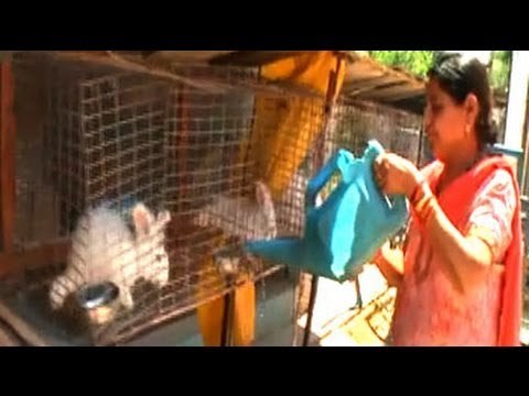 Rocky & Mayur talk about the benefits of Angora wool