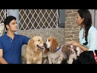 Paras plays around with 6 cuddly fur babies in Guwahati
