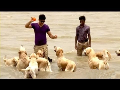 Paras plays around with not 1, not 2, but 30 dogs in Guwahati