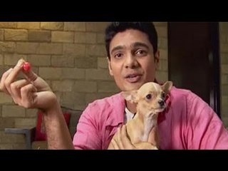 Paras meets an adorable Chihuahua named Cherry