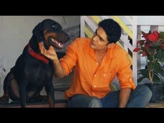Up, close and personal with Coelho pets