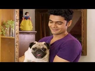 Paras plays around with mother-daughter Labrador duo and a Pug