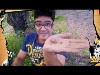 Meet the tube-shaped animal found living in soil - Earthworm