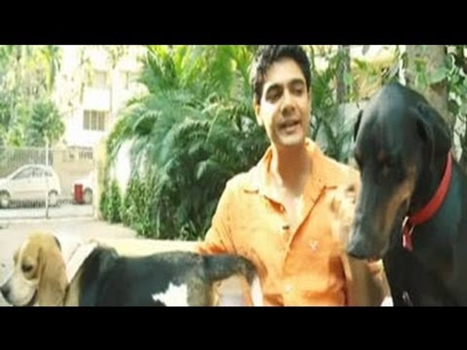 Promo: Heavy Petting - It's a dog's life