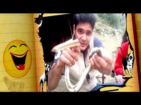 Pet Diaries: Meet the Red Sand Boa