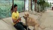 Pet dogs Ebony and Robin give Paras company in Chennai