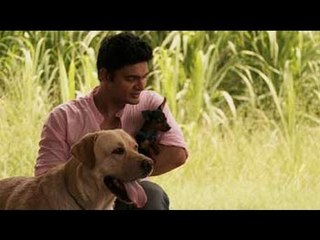 Paras meets 3 pet dogs in Gujarat