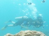 Scuba diving in the Andamans, should be in your 10 things to do list