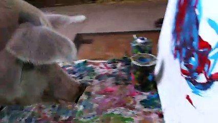 Pigcasso, le cochon qui peint des tableaux
