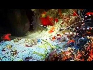 World environment day: protect the oceans