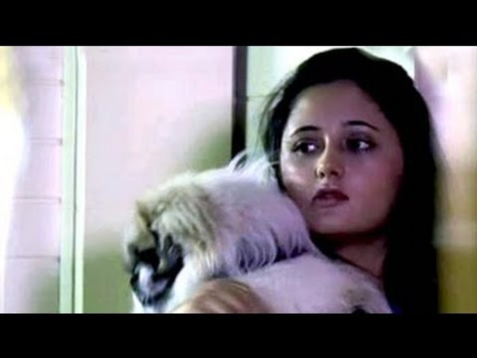 Heavy Petting: How breast cancer can be cured in dogs