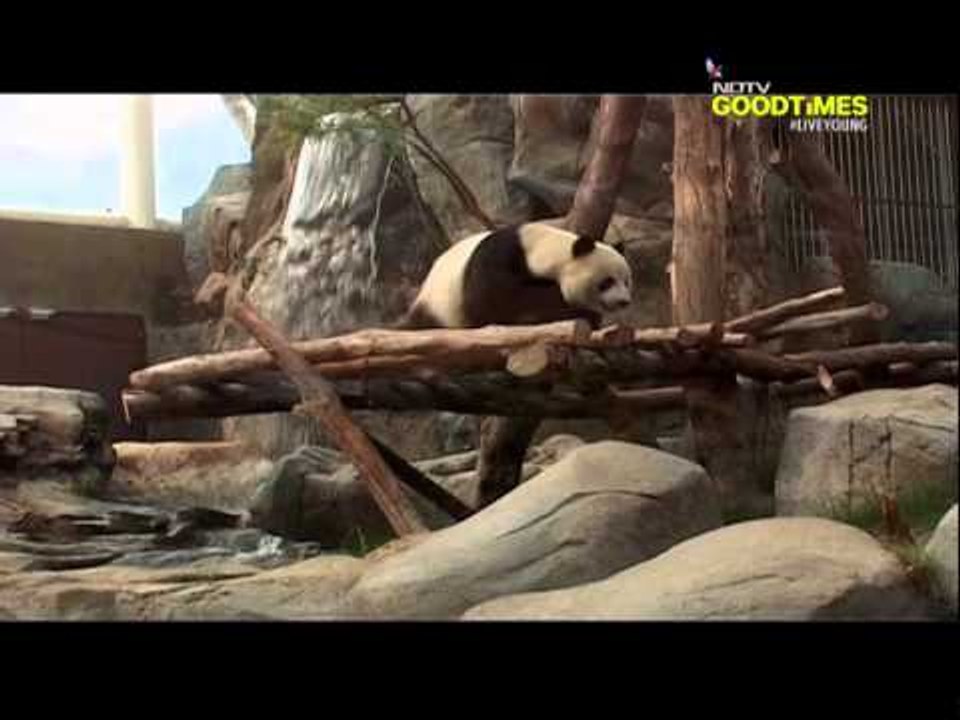 Breathe in the ocean - Ocean Park, Hong Kong