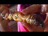 Bizarre foods: Wiggly worms in Nagaland