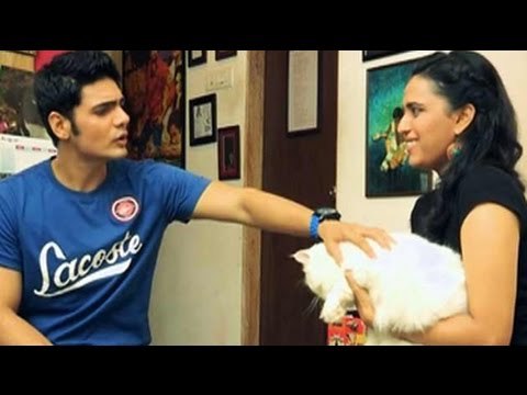 Heavy Petting: My pet cats hate me: Swara Bhaskar