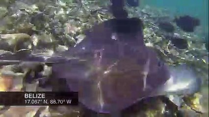 に라이브카지노주소 【ＴＴＳ３３２、coM】