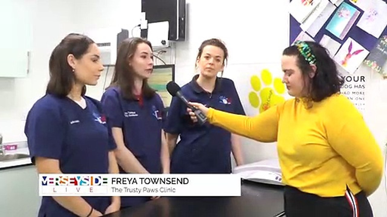 FREE Check Ups for Pups!
