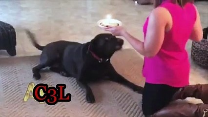 ヨ카지노사이트주소 【ＴＴＳ３３２、coM】