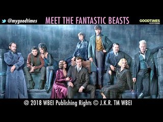 These Are The Fantastic Beasts : Eddie Redmayne and Jude Law