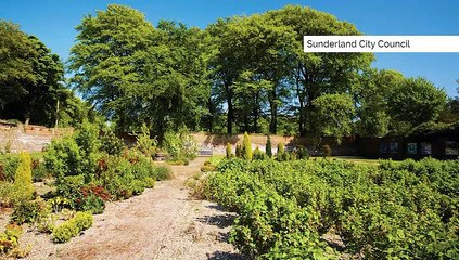 GOODLINES: 26th March 2019