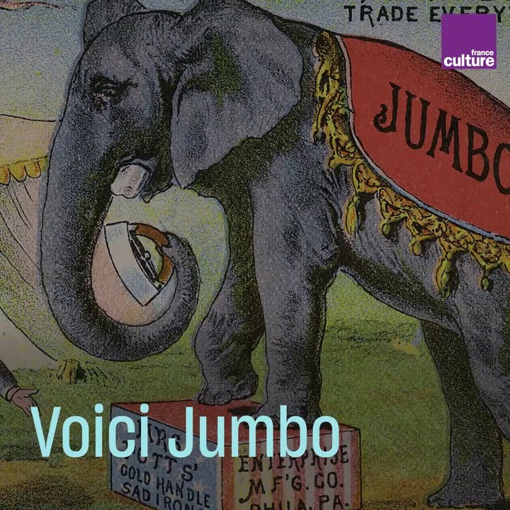 Jumbo, martyr du cirque