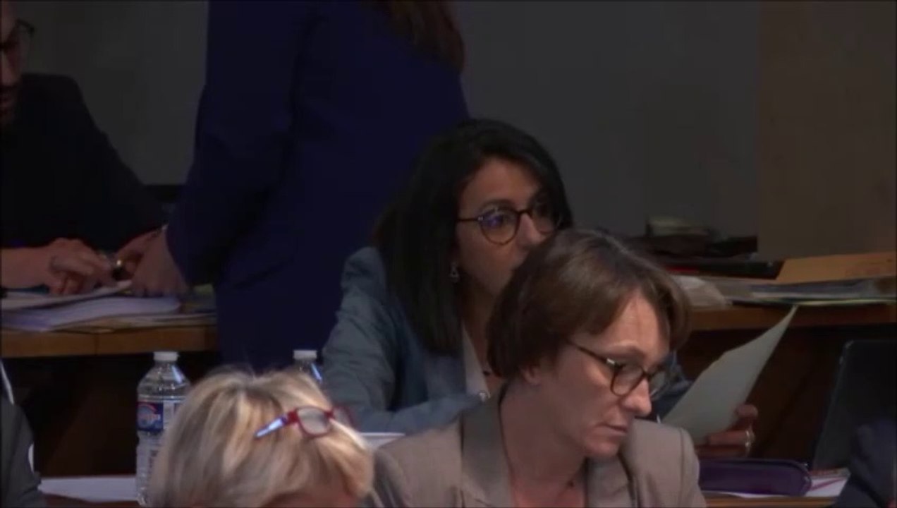 Dénia HAZHAZ. Discussion générale et dénomination de la maison départementale  de l'enfance. 25 mars 2019