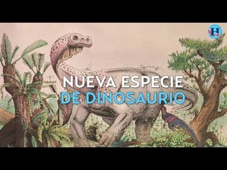 Descubren nueva especie de dinosaurio en Sudáfrica