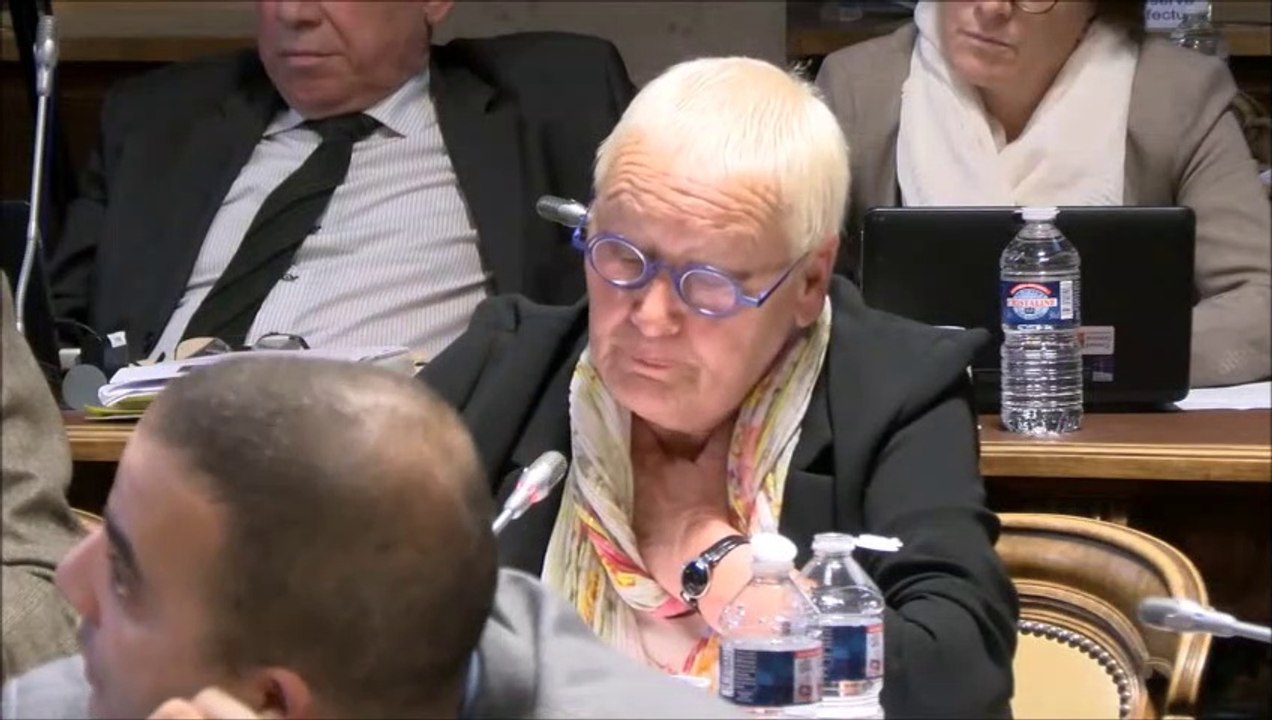 Colette POPARD. Rapport d'information sur les mineurs non-accompagnés. 25 mars 2019