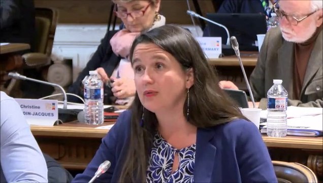 Céline MAGLICA. Bilan du schéma départemental enfance famille 2016-2018. Session du 25 mars 2019