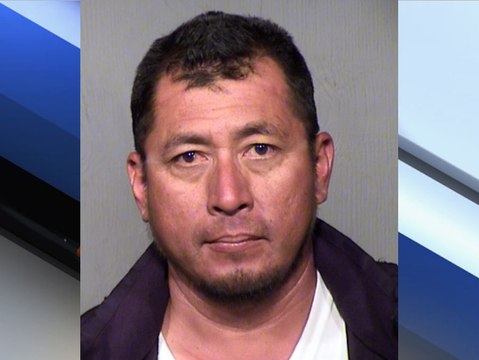 PD: 70 roosters collected from cockfight ring - ABC15 Crime