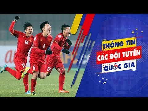 U23 Việt Nam thuộc nhóm hạt giống số 1, thi đấu trên sân nhà tại VL U23 châu Á 2020 | VFF Channel