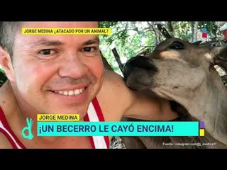 Jorge Medina se recupera del accidente que tuvo con un animal | De Primera Mano