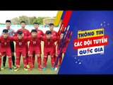 Hòa U16 Myanmar, U16 Việt Nam chính thức dừng chân sau vòng bảng giải U16 Đông Nam Á | VFF Channel