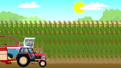 A green super tractor for the little ones | Zielony Traktor - Bajki Zabawki