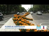 Flores de cempasúchil adornan Paseo de la Reforma | Noticias con Francisco Zea