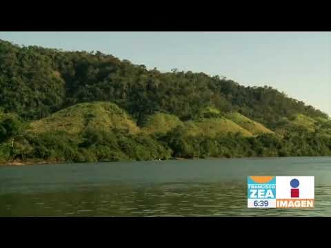 Jair Bolsonaro a favor de explotar la selva del Amazonas | Noticias con Zea