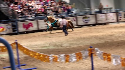 Amazing young girls doing horse trick riding.