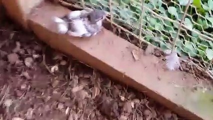 ▦ 무료바카라게임 바카라규칙≪ＭＳＴ272，coM≫ 여준 인물들이다.