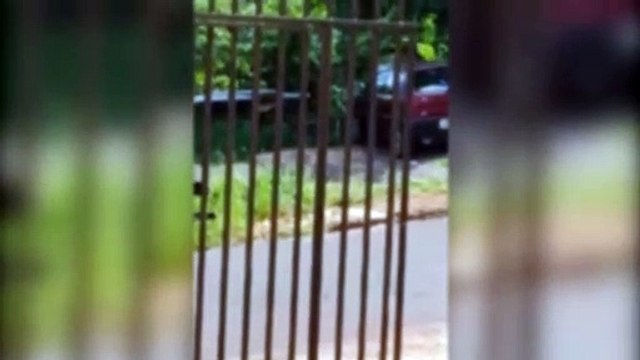 Trabalhador flagra descarte irregular de entulhos em mato