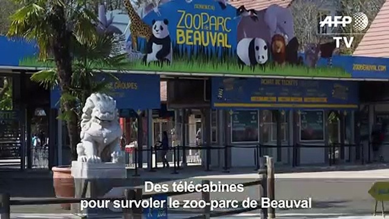 Au zoo de Beauval, des télécabines pour survoler les animaux