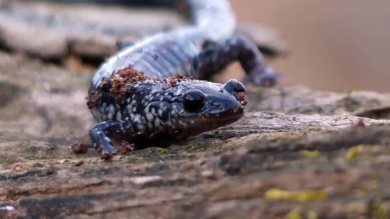 실시간카지노≪ＳＴＫ４２４、CㅇM≫온라인바카라이기는법 실시간카지노≪ＳＴＫ４２４、CㅇM≫온라인바카라이기는법