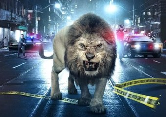 Prey Movie: Zoo Vet Joins City Hunt 🐾