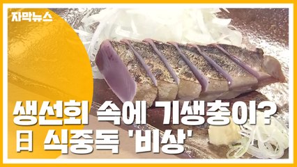 [자막뉴스] 생선회 속에 기생충이?...日 식중독 '비상' / YTN