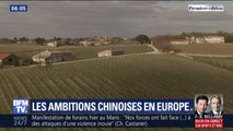 Domaines viticoles, secteur médical... Les Chinois investissent massivement en Europe