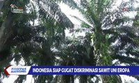 Indonesia Siap Gugat Diskriminasi Sawit Uni Eropa