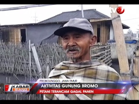 Belasan Desa Terpapar Abu Bromo, Petani Terancam Gagal Panen